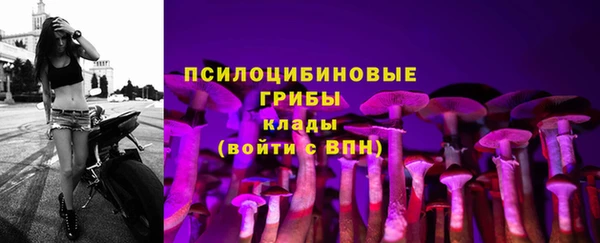 ECSTASY Белокуриха