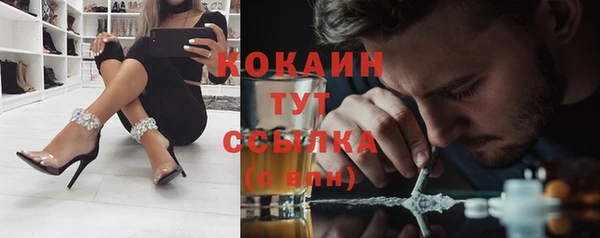 ECSTASY Белокуриха