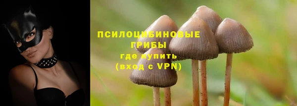 мяу мяу кристалл Богданович