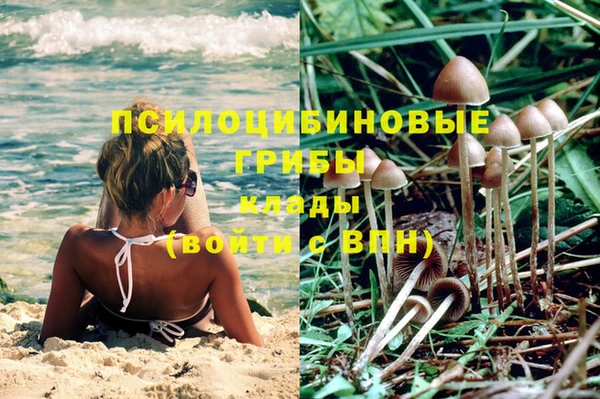 прущая мука Богородск